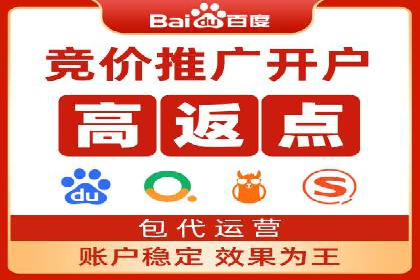 百度推广案例：从零到一的SEO优化之路
